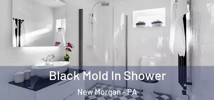  Black Mold In Shower New Morgan - PA