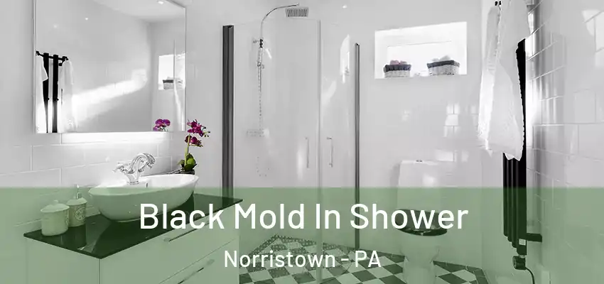  Black Mold In Shower Norristown - PA