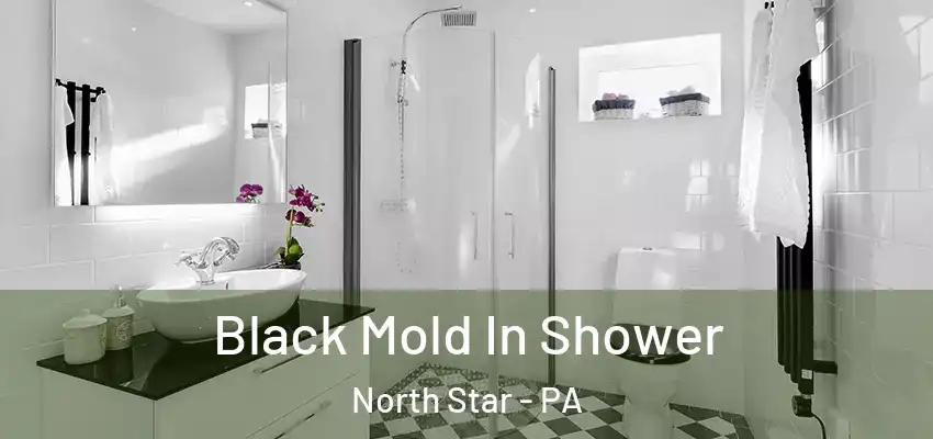  Black Mold In Shower North Star - PA