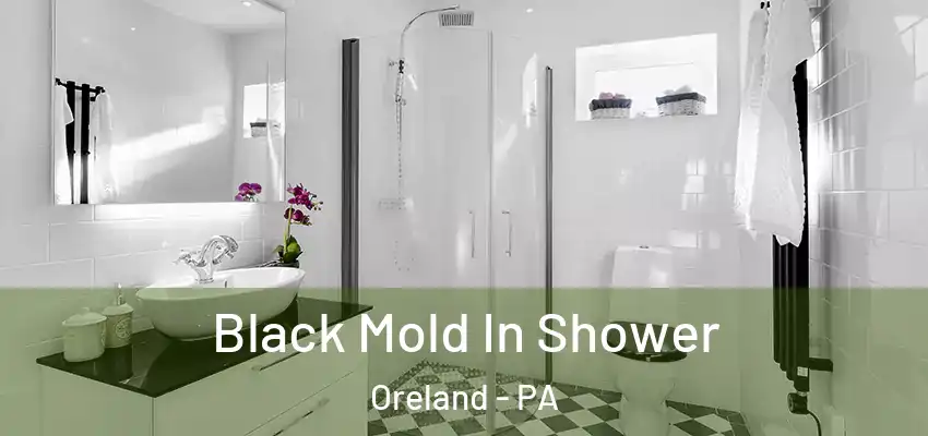 Black Mold In Shower Oreland - PA