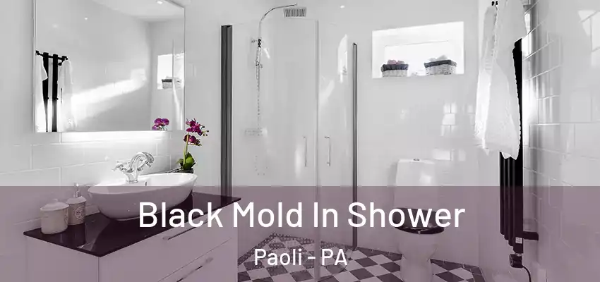  Black Mold In Shower Paoli - PA