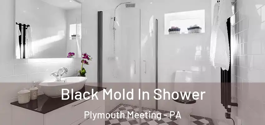 Black Mold In Shower Plymouth Meeting - PA