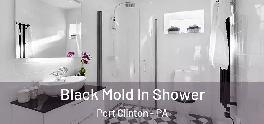  Black Mold In Shower Port Clinton - PA