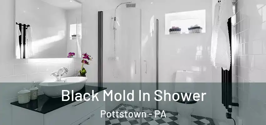  Black Mold In Shower Pottstown - PA