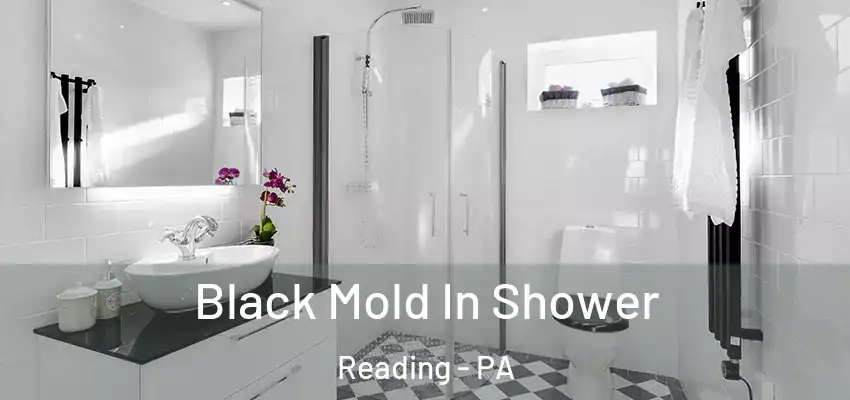  Black Mold In Shower Reading - PA