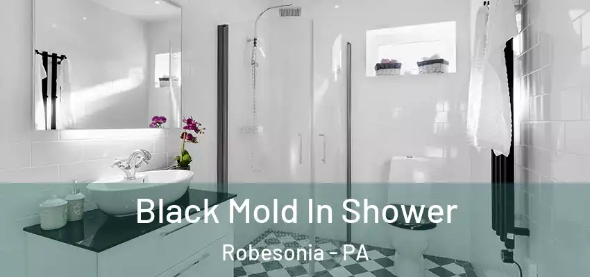  Black Mold In Shower Robesonia - PA