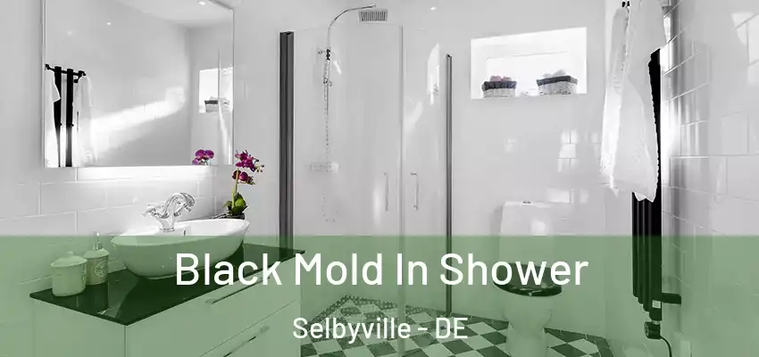 Black Mold In Shower Selbyville - DE