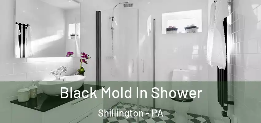  Black Mold In Shower Shillington - PA