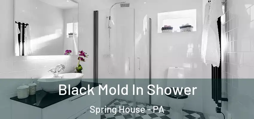  Black Mold In Shower Spring House - PA