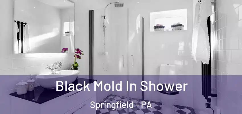 Black Mold In Shower Springfield - PA