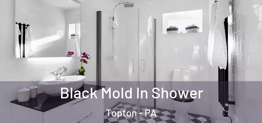  Black Mold In Shower Topton - PA