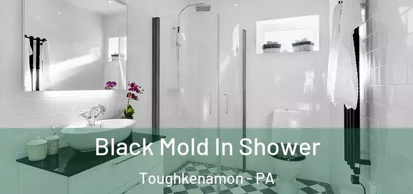 Black Mold In Shower Toughkenamon - PA