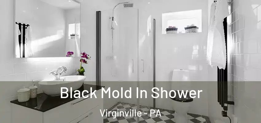 Black Mold In Shower Virginville - PA