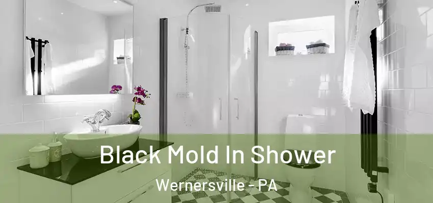Black Mold In Shower Wernersville - PA
