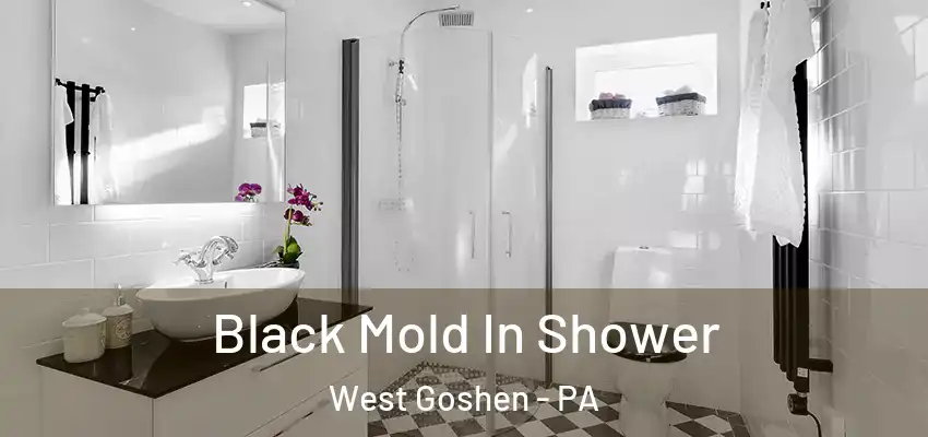  Black Mold In Shower West Goshen - PA