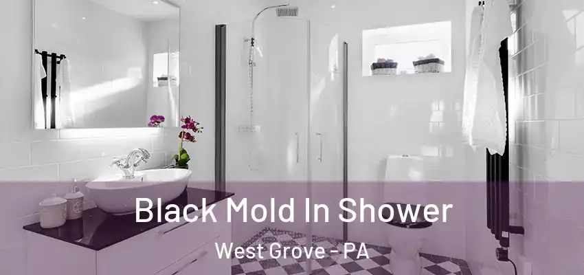 Black Mold In Shower West Grove - PA