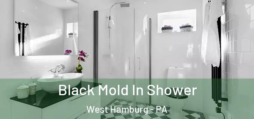  Black Mold In Shower West Hamburg - PA
