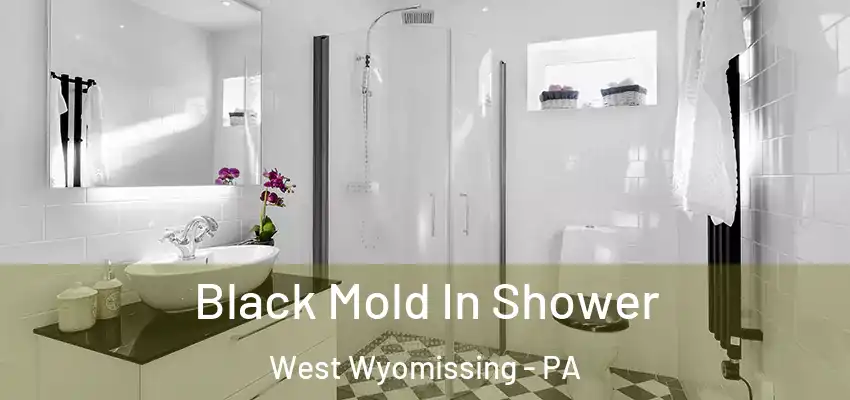 Black Mold In Shower West Wyomissing - PA
