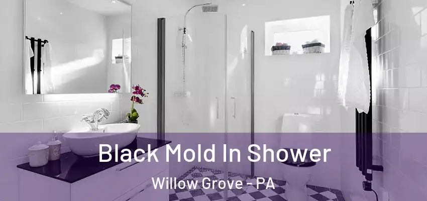 Black Mold In Shower Willow Grove - PA