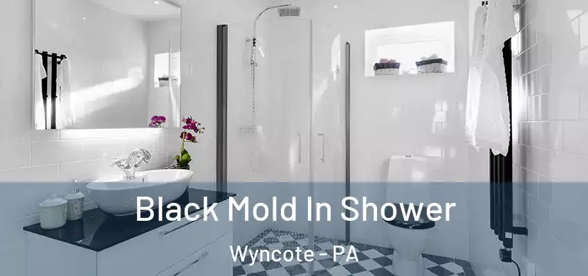Black Mold In Shower Wyncote - PA