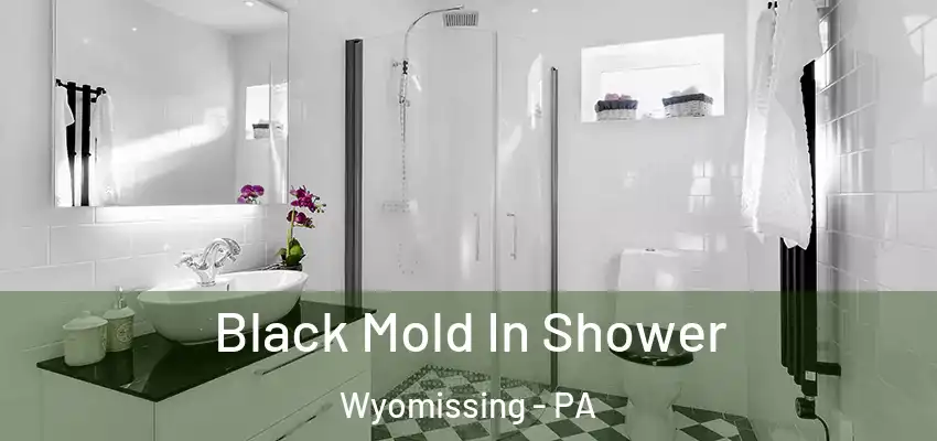  Black Mold In Shower Wyomissing - PA