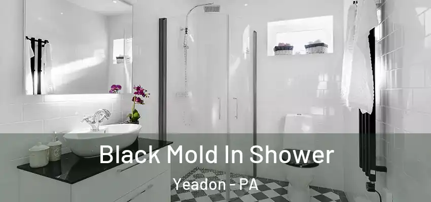  Black Mold In Shower Yeadon - PA