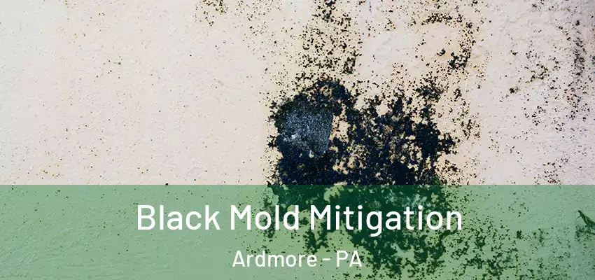 Black Mold Mitigation Ardmore - PA
