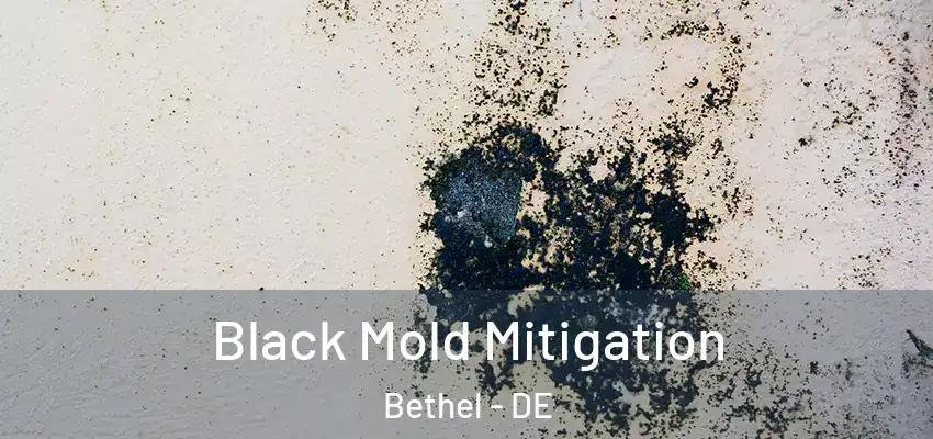  Black Mold Mitigation Bethel - DE