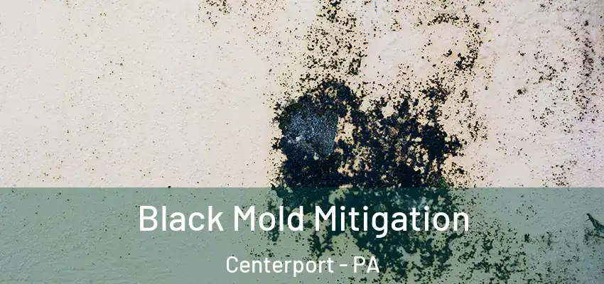 Black Mold Mitigation Centerport - PA