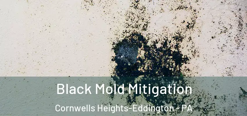  Black Mold Mitigation Cornwells Heights-Eddington - PA
