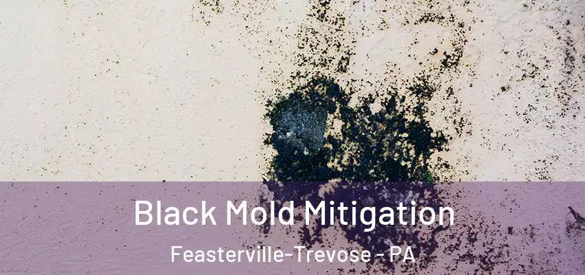  Black Mold Mitigation Feasterville-Trevose - PA