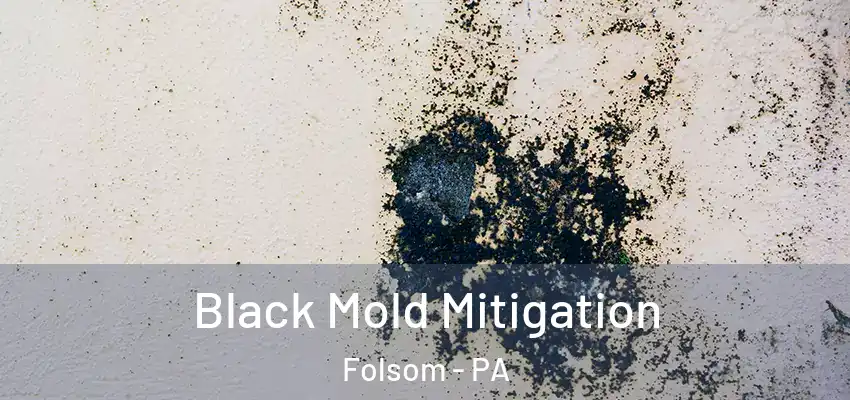 Black Mold Mitigation Folsom - PA