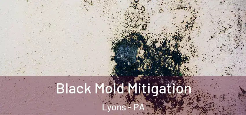 Black Mold Mitigation Lyons - PA