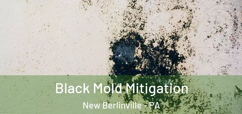 Black Mold Mitigation New Berlinville - PA
