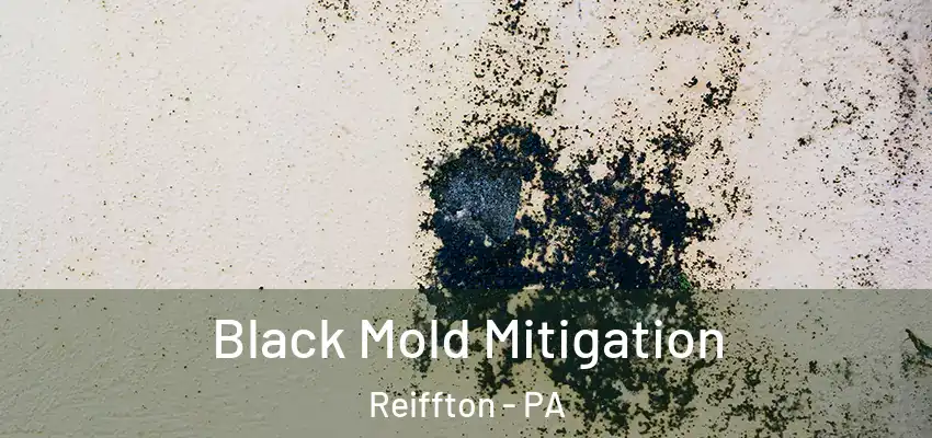  Black Mold Mitigation Reiffton - PA