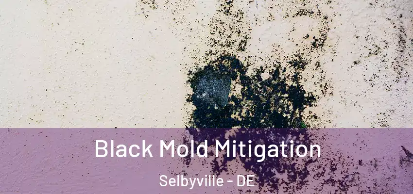 Black Mold Mitigation Selbyville - DE