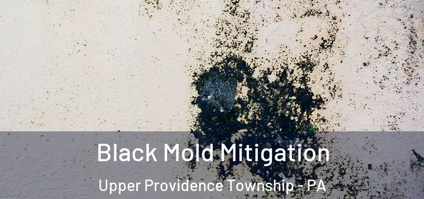  Black Mold Mitigation Upper Providence Township - PA