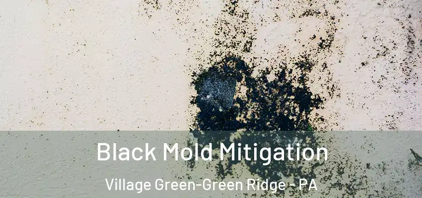 Black Mold Mitigation Village Green-Green Ridge - PA