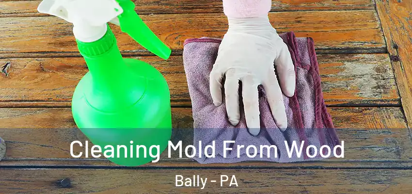 Cleaning Mold From Wood Bally - PA