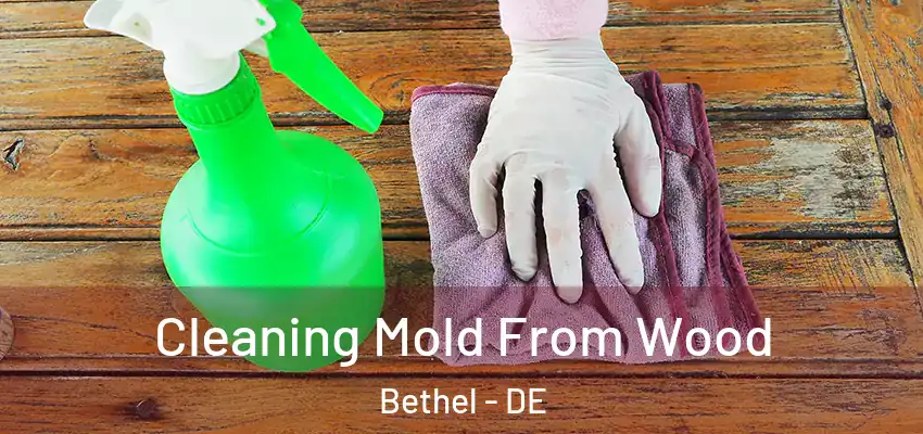  Cleaning Mold From Wood Bethel - DE