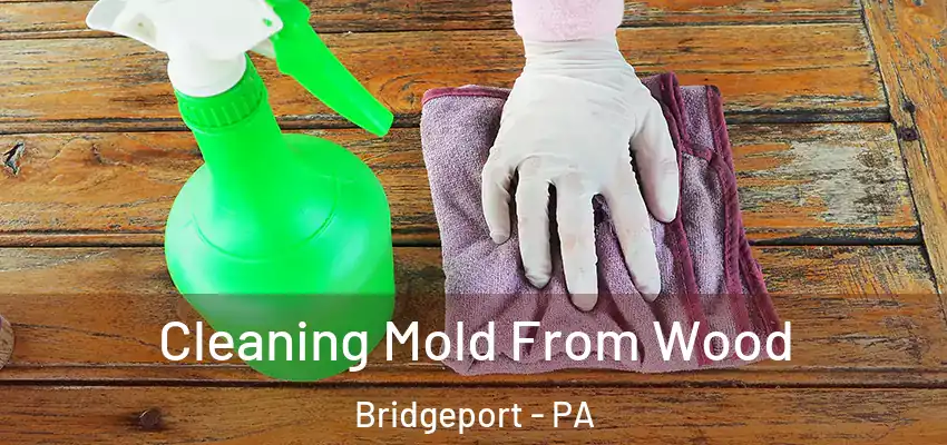 Cleaning Mold From Wood Bridgeport - PA