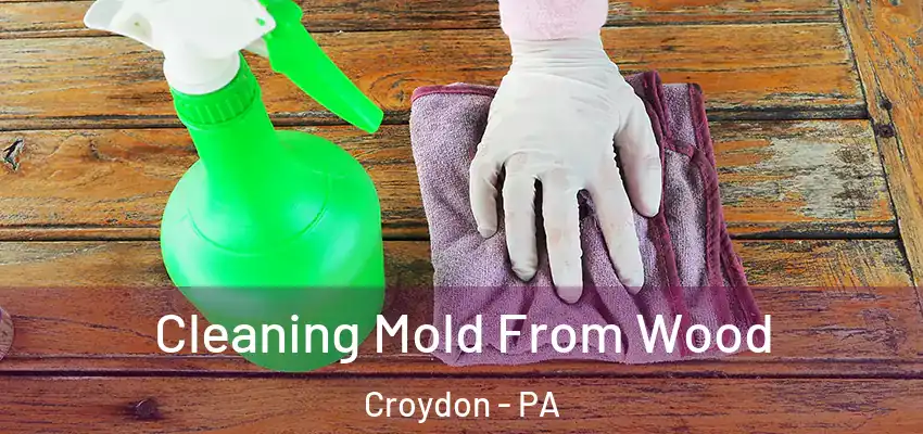 Cleaning Mold From Wood Croydon - PA