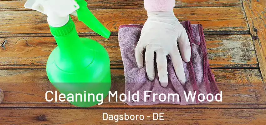 Cleaning Mold From Wood Dagsboro - DE
