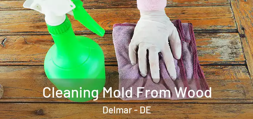 Cleaning Mold From Wood Delmar - DE