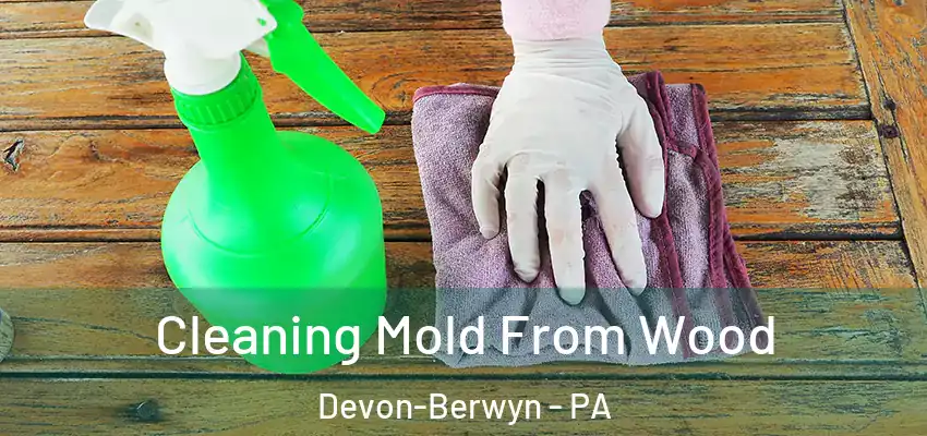 Cleaning Mold From Wood Devon-Berwyn - PA