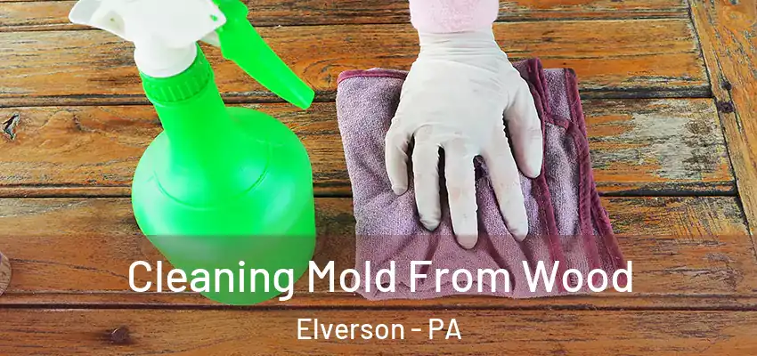  Cleaning Mold From Wood Elverson - PA