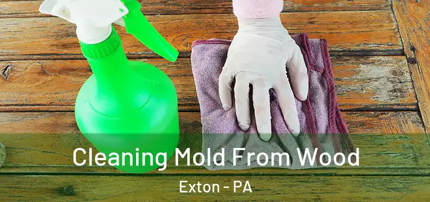 Cleaning Mold From Wood Exton - PA