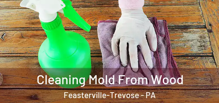 Cleaning Mold From Wood Feasterville-Trevose - PA
