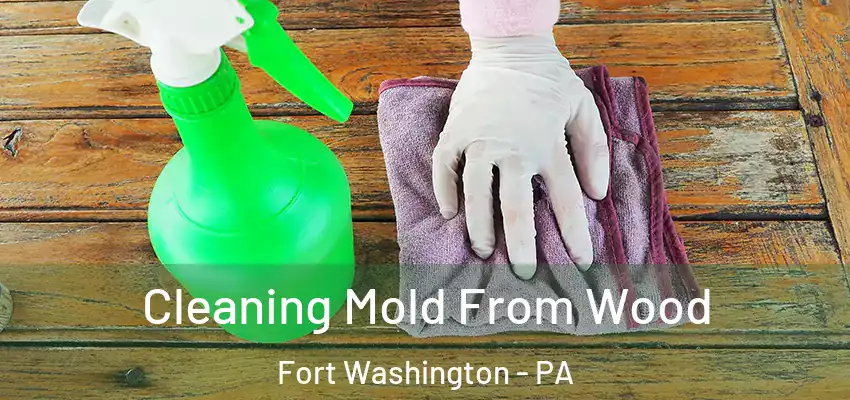 Cleaning Mold From Wood Fort Washington - PA