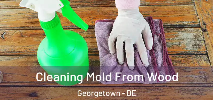 Cleaning Mold From Wood Georgetown - DE
